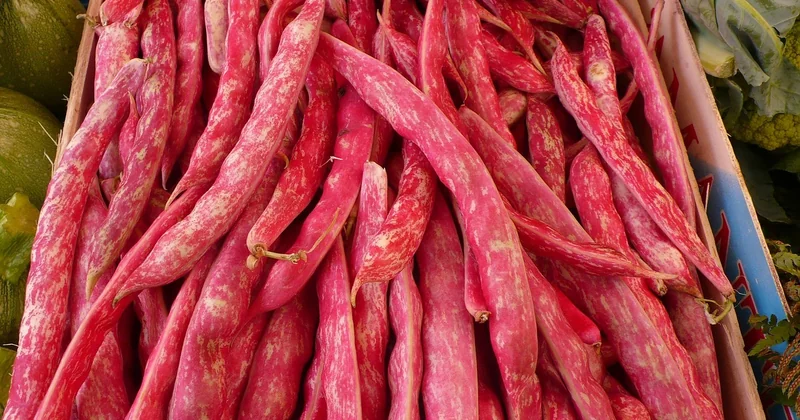 Haricots rouges ou noirs : le choix qui change la texture, et la tradition