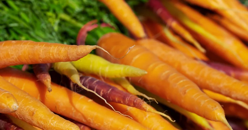 Ma recette de bœuf carottes Cookeo (celle qui ne rate plus)